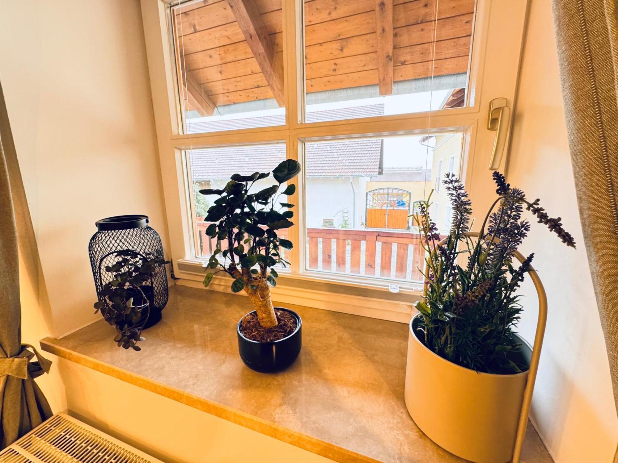 אגינג Ferienwohnung Vierseithof מראה חיצוני תמונה